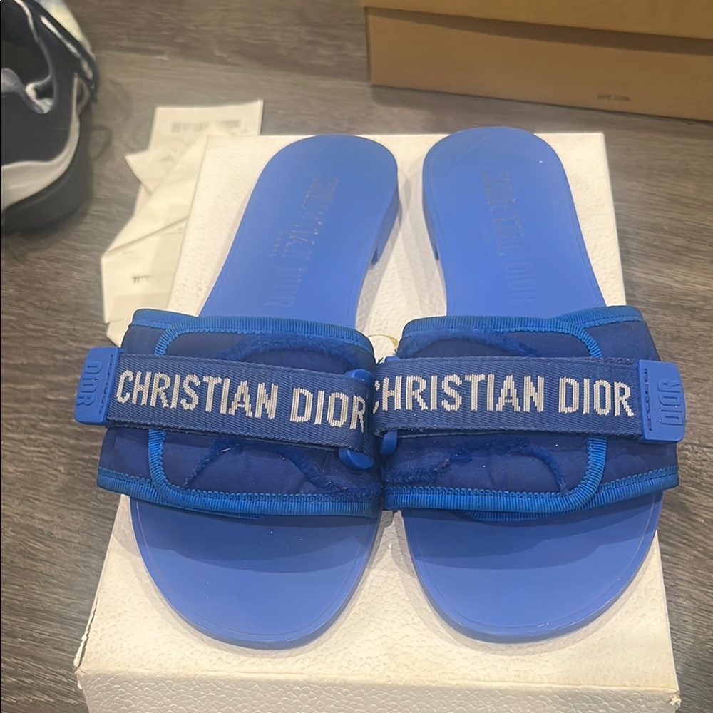 Christian Dior Blue Slides